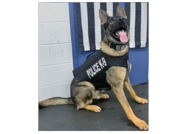 Anjing Polisi Dayton Menerima Rompi Anti Peluru