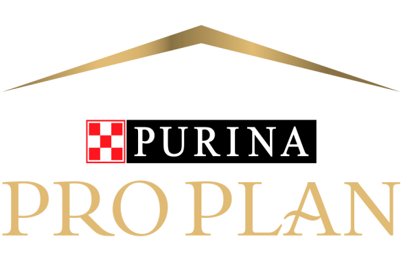 Hasil Juara 1 dari Purina Pro Plan Incredible Dog Challenge - Diving Dog Competition